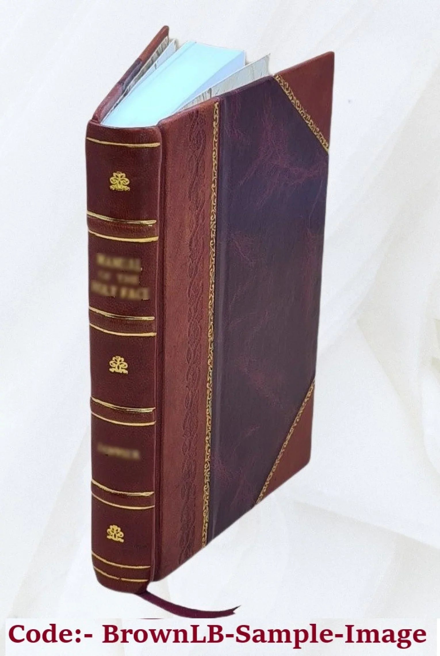 Dějiny panování Karla IV: K novému vyd. připr. Gustav Friedrich. Size 22 puvodními ilustr. Věnceslava Černého [Černý]. [Karl IV, deutscher Kaiser] 1894 [Leather Bound]