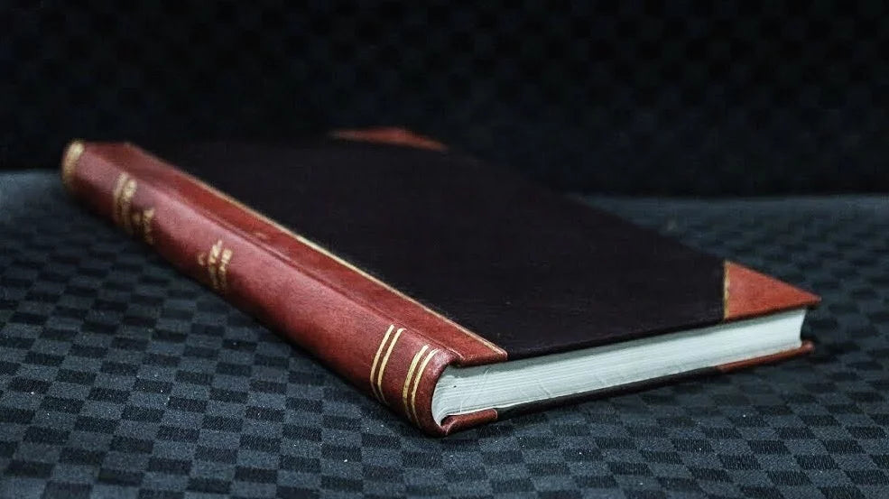 Di alcune strade ferrate necessarie al completamento della rete italiana. Sizetoria documentata e considerazioni (1879) [Leatherbound]