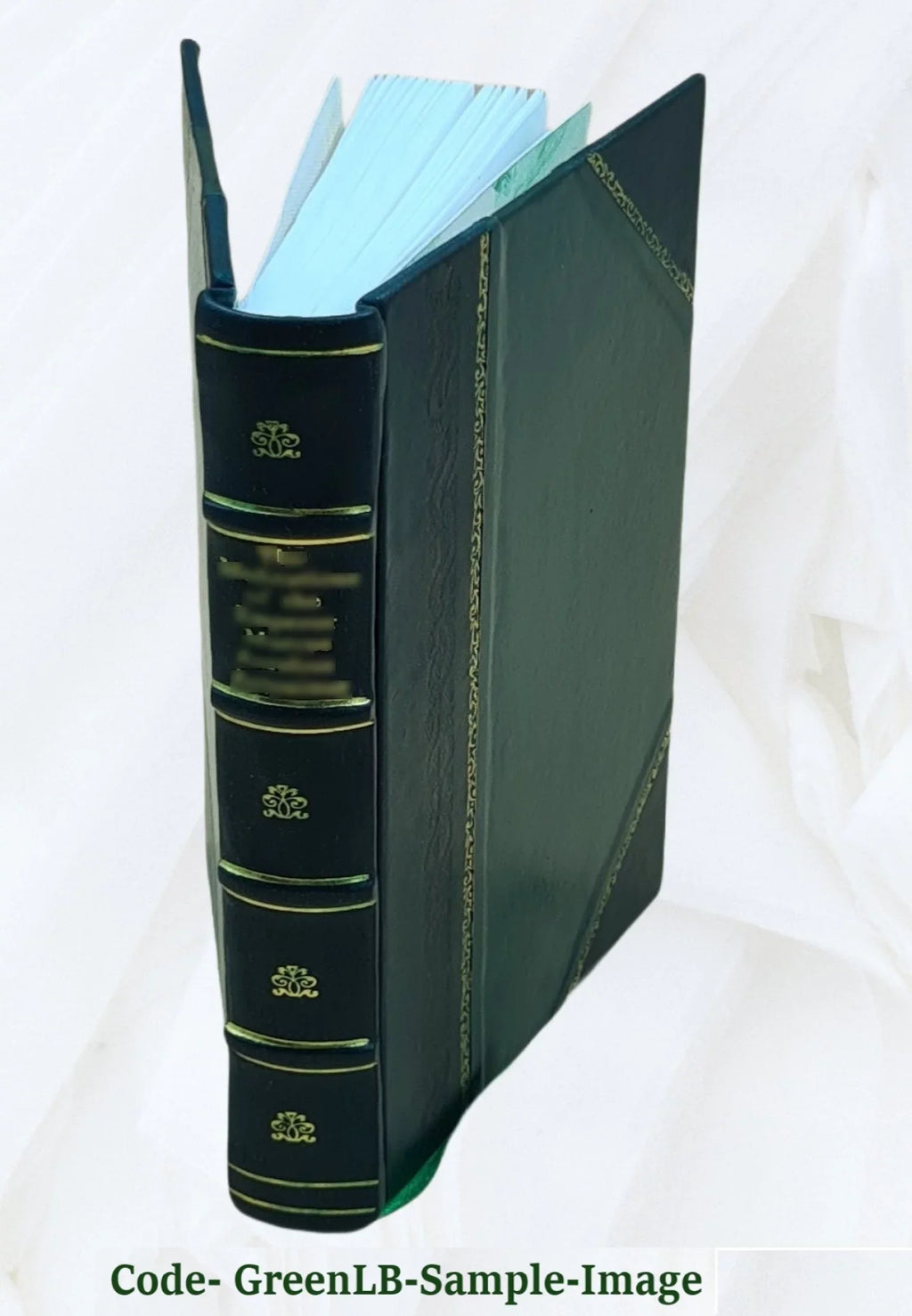 Dějiny panování Karla IV: K novému vyd. připr. Gustav Friedrich. Size 22 puvodními ilustr. Věnceslava Černého [Černý]. [Karl IV, deutscher Kaiser] 1894 [Leather Bound]