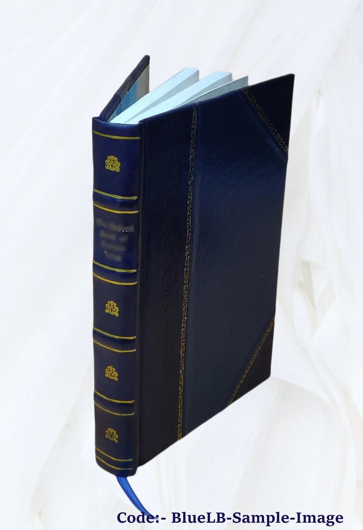 The British dominions in North America, or, A topographical and statistical description of the provinces of Lower and Upper Canada, New Brunswick, Nova Sizecotia, the Islands of Newfoundland, Prince Edwa