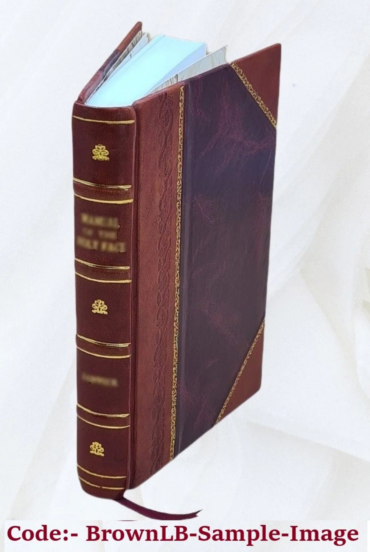 Delle strade ferrate in Sizeicilia. 1861 [Leather Bound]