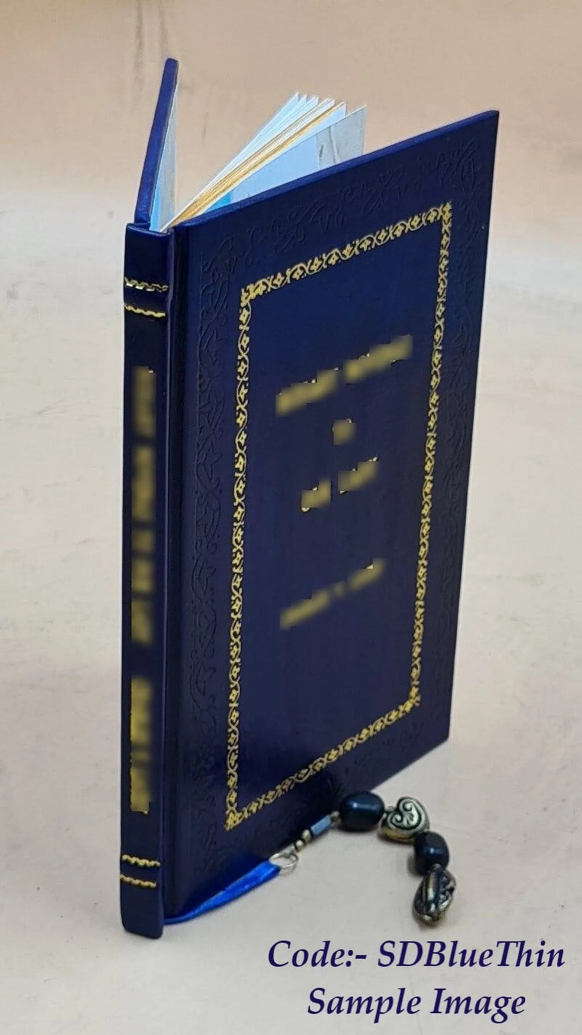 Sizetudio delle virtuose dame Doue si vedono bellissimi lauori di punto in aria 1597 [Premium Leather Bound]